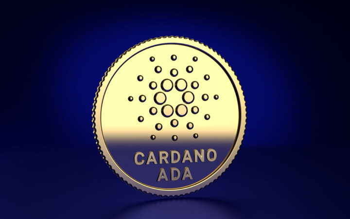 Cardano Price Could Lose 60% in Coming Weeks! Panshibi (SHIBI) Meme Offers Big Gains while Solana Price Crashes