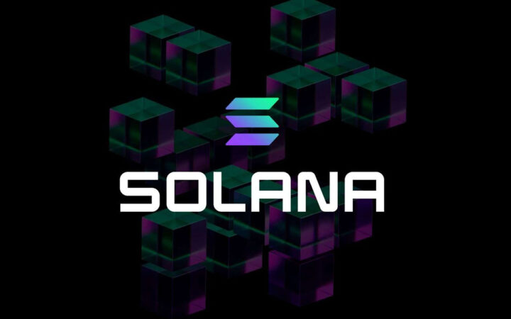 Solana Latest News Suggests Crash Can Get Worse, whilst Investors Are Choosing Panshibi (SHIBI) as Better Choice for March Gains