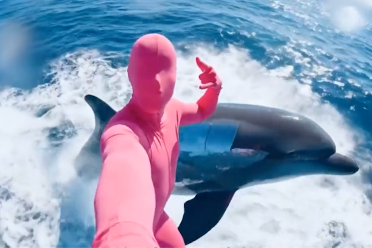 While PYTH Pumps on PCE, T6900 Preps to Steal the Spotlight